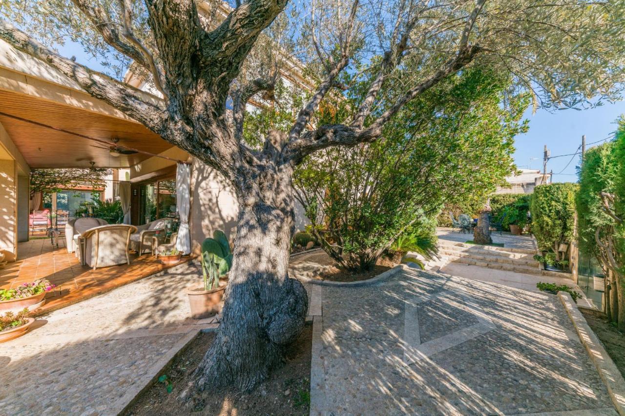 Villa Tramontana *